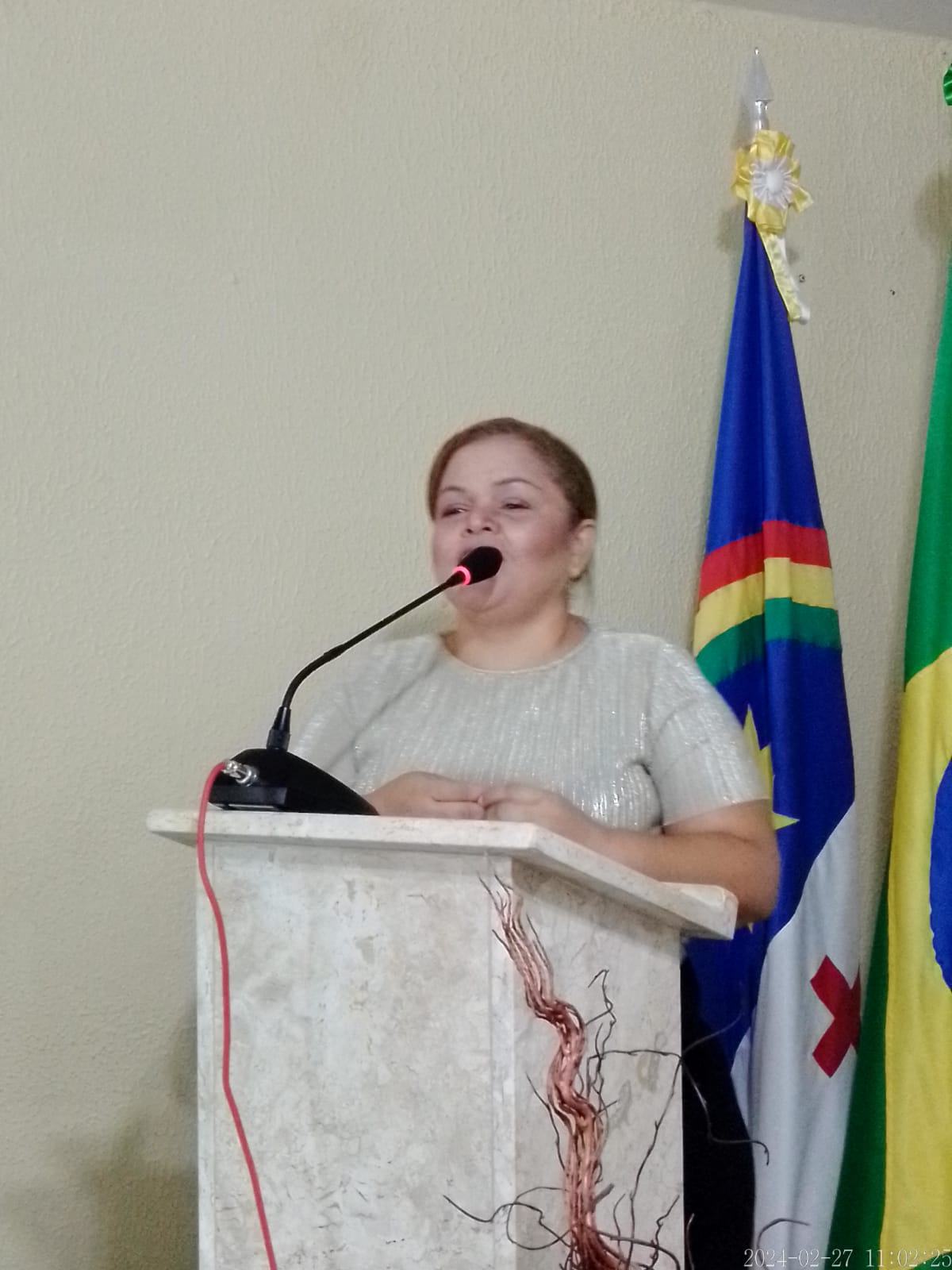 5° SEÇÃO DO 1° PERIODO LEGISLATIVO 2024 (27-02) 2024-02-28 at 09.36.42 (2).jpeg